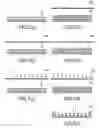 Fig. 05 - Electrophoretic display medium and method of forming the same