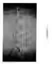 Fig. 13 - OPTICAL SENSOR BASED ON SURFACE ELECTROMAGNETIC WAVE RESONANCE IN PHOTONIC BAND GAP MATERIALS