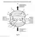 Fig. 29 - Fluidic optical devices