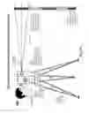 Fig. 71 - Fluidic optical devices
