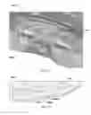Fig. 92 - Fluidic optical devices