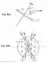 Fig. 05 - Magnetic detection element