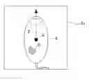 Fig. 01 - FLUORESCENCE OBSERVATION APPARATUS