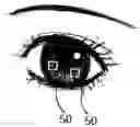 Fig. 01 - Iris recognition system, a method thereof, and an encryption system using the same