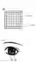 Fig. 06 - Iris recognition system, a method thereof, and an encryption system using the same