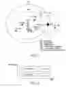 Fig. 04 - RoF system providing HD wireless communication service and signal control method for the same