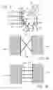 Fig. 03 - Stage device for a vacuum chamber