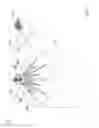 Fig. 02 - Particle spreader system