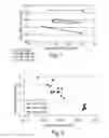Fig. 06 - Thin cast strip product with microalloy additions, and method for making the same