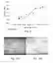 Fig. 07 - Thin cast strip product with microalloy additions, and method for making the same