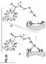 Fig. 16 - HARMONIZED WATER AND AQUEOUS SOLUTIONS