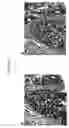 Fig. 09 - Cytotoxicity mediation of cells evidencing surface expression of CD44