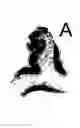 Fig. 01 - Alzheimer's Disease Imaging Agents