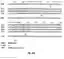 Fig. 27 - DNA molecules encoding opioid receptors and methods of use thereof
