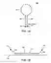 Fig. 02 - SERS molecular probe for diagnostics and therapy and methods of use thereof