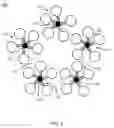 Fig. 06 - SERS molecular probe for diagnostics and therapy and methods of use thereof