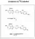 Fig. 01 - Neurofibrillary labels