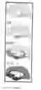 Fig. 04 - Neurofibrillary labels