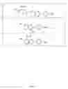 Fig. 09 - Neurofibrillary labels