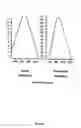 Fig. 11 - Neurofibrillary labels