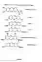 Fig. 14 - Neurofibrillary labels
