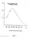 Fig. 15 - Neurofibrillary labels