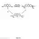 Fig. 18 - Neurofibrillary labels