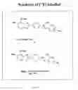 Fig. 20 - Neurofibrillary labels
