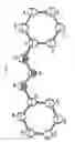 Fig. 26 - Neurofibrillary labels