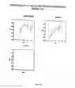 Fig. 34 - Neurofibrillary labels