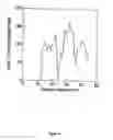 Fig. 42 - Neurofibrillary labels