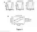 Fig. 03 - Single chain trimers and uses therefor