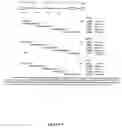 Fig. 03 - Cosmid DNA constructs and methods of making and using same