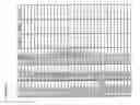 Fig. 10 - Parvoviral production of HLA homozygous cells