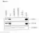 Fig. 04 - Method of deriving mesenchymal stem cells from ES cells using FGF2