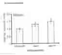 Fig. 12 - Method of deriving mesenchymal stem cells from ES cells using FGF2