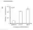 Fig. 18 - Method of deriving mesenchymal stem cells from ES cells using FGF2