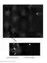 Fig. 01 - Support Having Nanostructured Titanium Dioxide Film And Uses Thereof