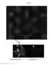 Fig. 04 - Support Having Nanostructured Titanium Dioxide Film And Uses Thereof