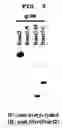 Fig. 06 - Method to Enhance the Bone Formation Activity of Bmp by Runx2 Acetylation