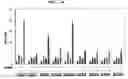 Fig. 11 - Method to Enhance the Bone Formation Activity of Bmp by Runx2 Acetylation