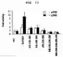 Fig. 12 - Method to Enhance the Bone Formation Activity of Bmp by Runx2 Acetylation