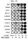 Fig. 13 - Method to Enhance the Bone Formation Activity of Bmp by Runx2 Acetylation