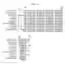 Fig. 11 - Phytase Variants