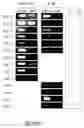 Fig. 03 - Identification and molecular characterisation of proteins, expressed in the salivary glands