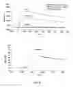 Fig. 10 - Identification and molecular characterisation of proteins, expressed in the salivary glands