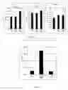 Fig. 12 - Identification and molecular characterisation of proteins, expressed in the salivary glands