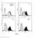 Fig. 06 - Human anti-CD100 antibodies