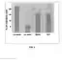 Fig. 07 - Human anti-CD100 antibodies