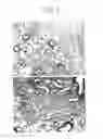 Fig. 03 - Pharmaceutical Composition Having Inhibitory Effect on Overproduction and Accumulation of Extracellular Matrix